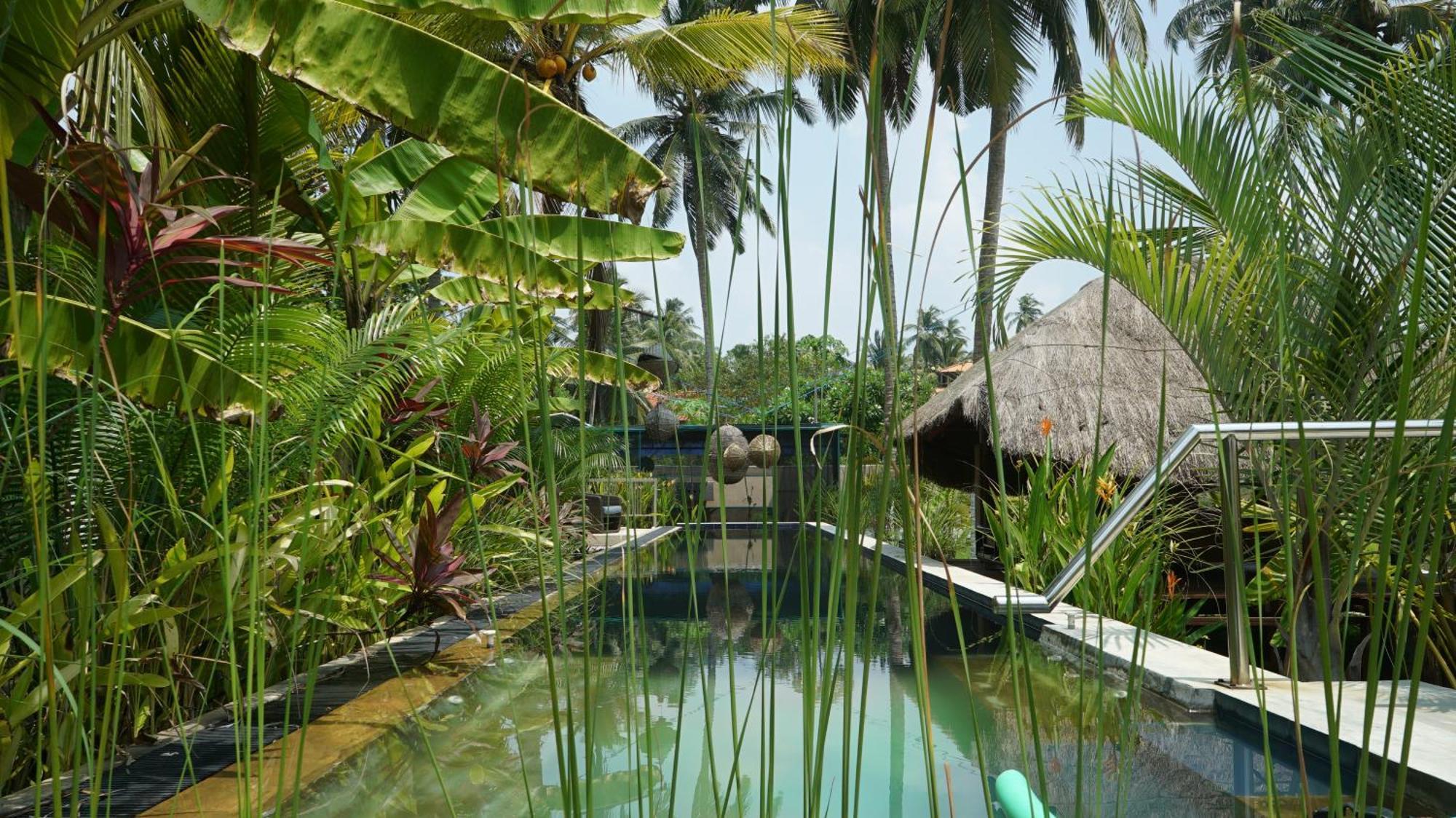 Red Coconut Villa Bentota Exteriér fotografie