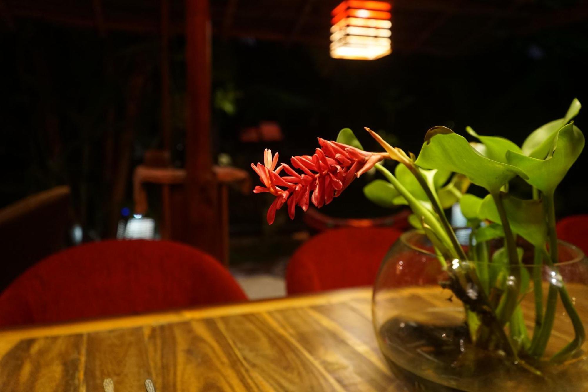 Red Coconut Villa Bentota Exteriér fotografie